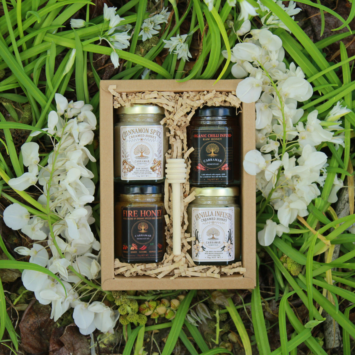 4-Pack Infused Honey Gift Box