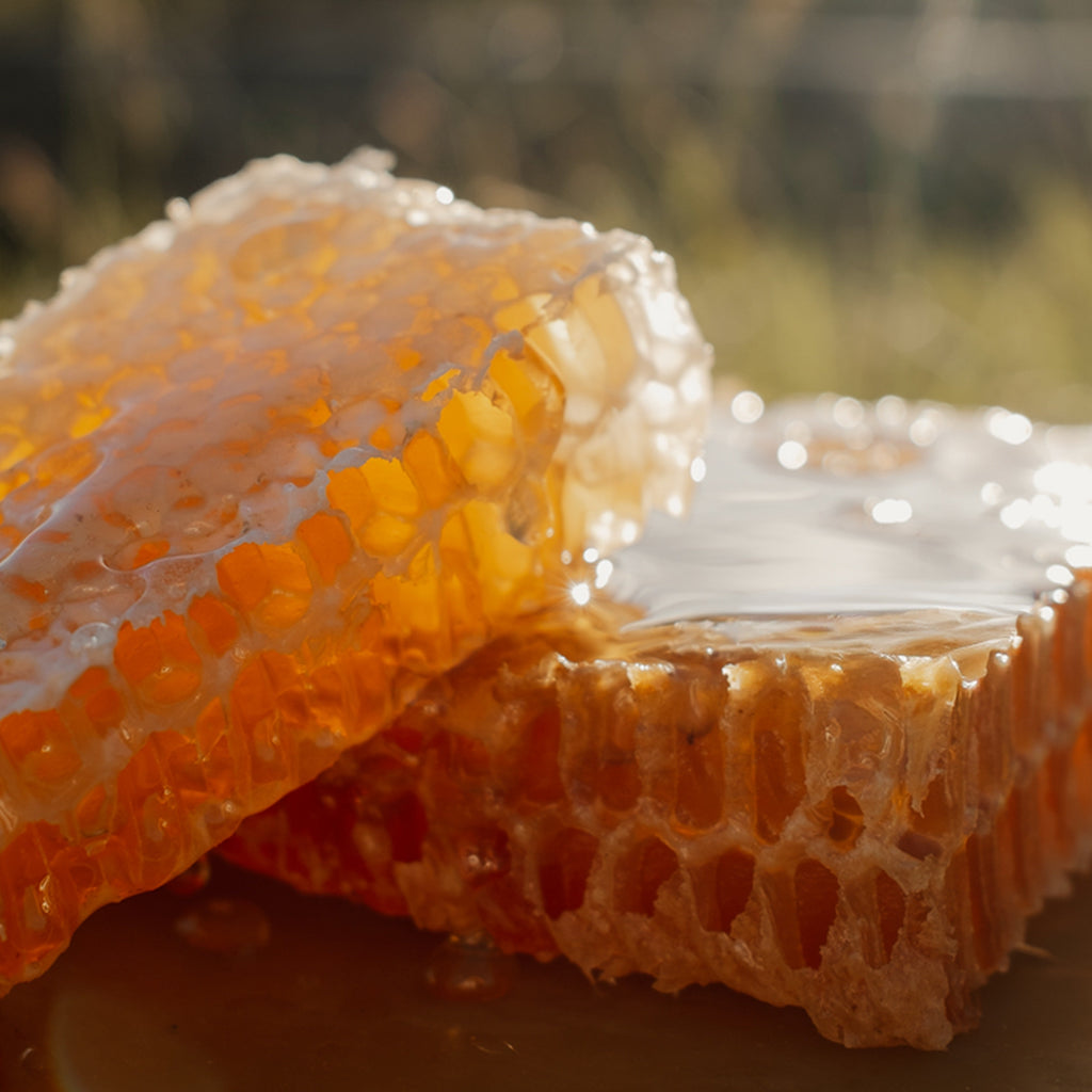 Honeycomb