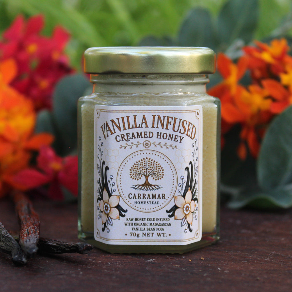 Vanilla Infused Creamed Honey