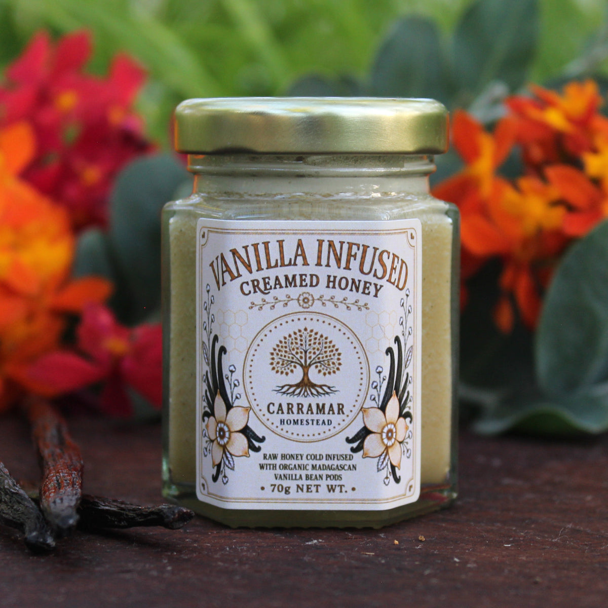 Vanilla Infused Creamed Honey
